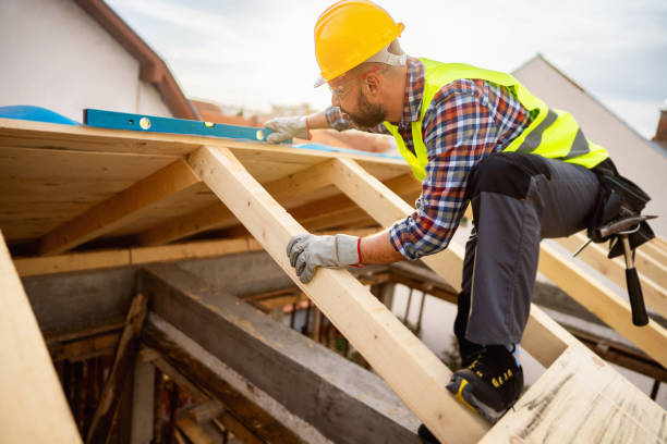 Best Roof Gutter Cleaning  in Mascot, TN