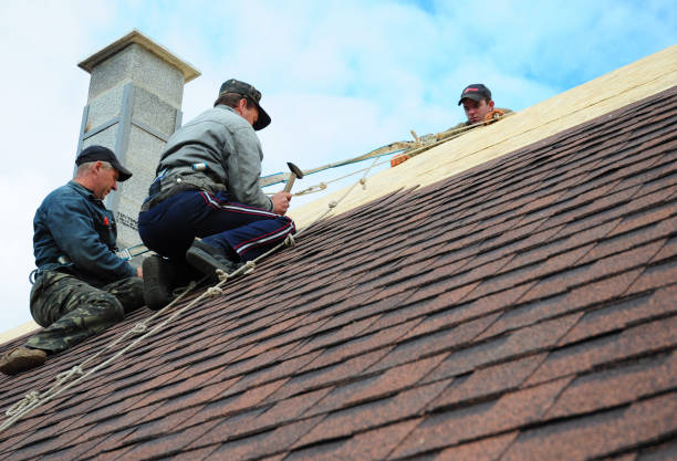 Best Roof Gutter Cleaning  in Mascot, TN